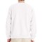 Hanes EcoSmart Unisex Crewneck Sweatshirt P160 Cotton-Poly Blend Fleece for Crafts